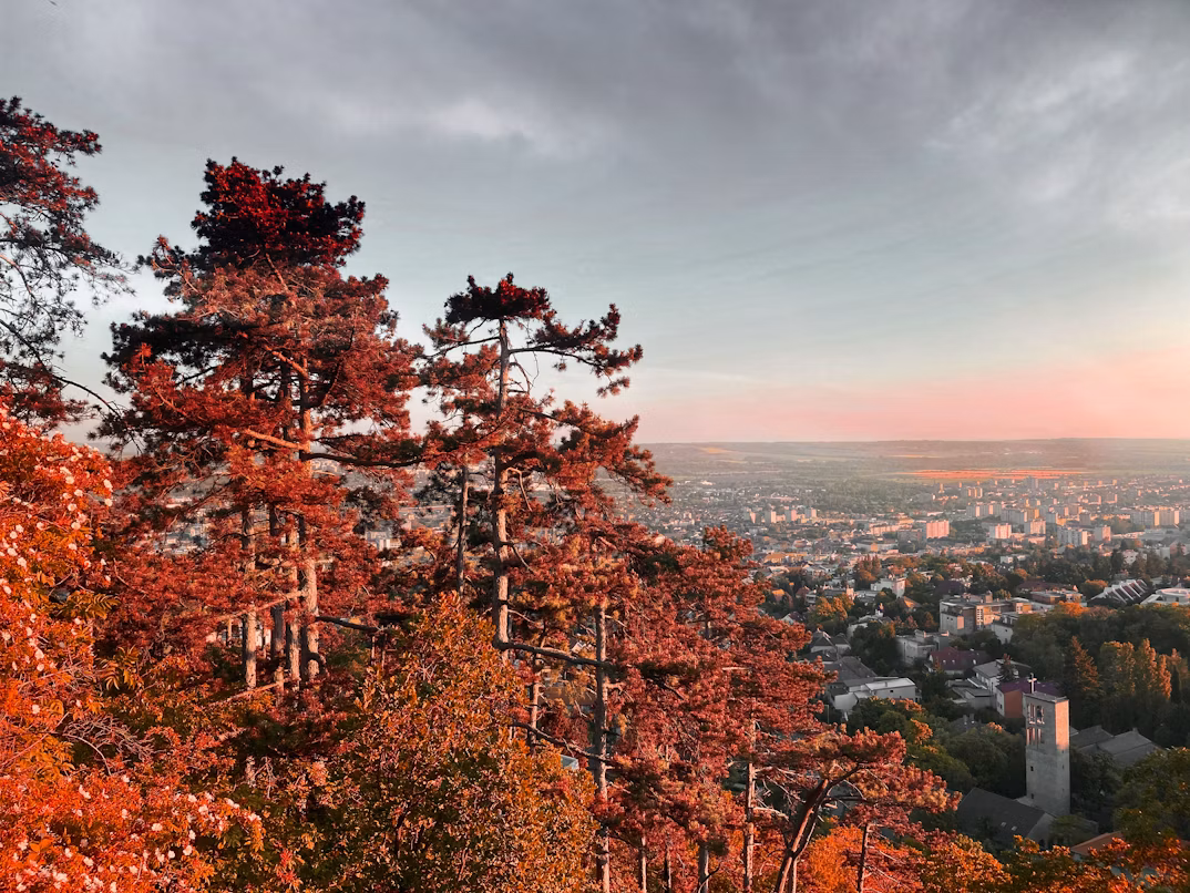 Hotels.com, Pécs