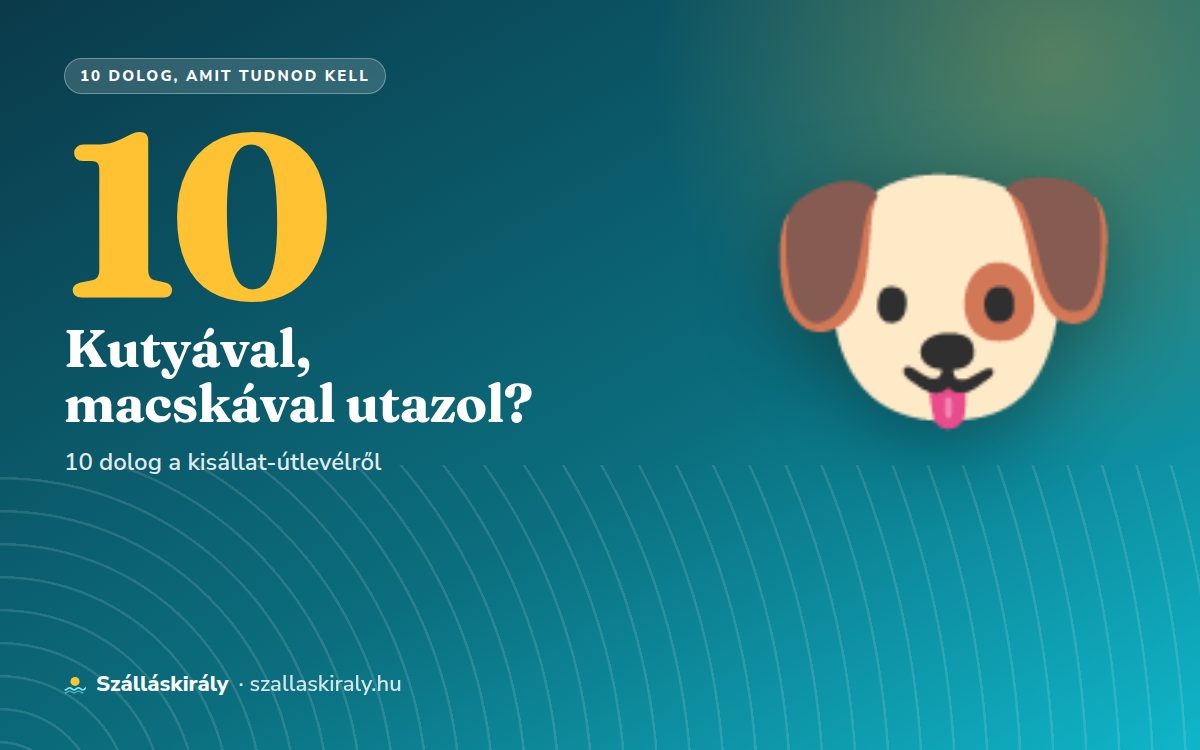 10 dolog, amit tudnod kell, ha kutyával vagy macskával utazol