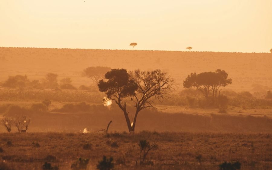 Serengeti